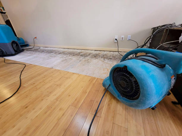 Professional Sewage Cleanup technician working in New Eagle, PA